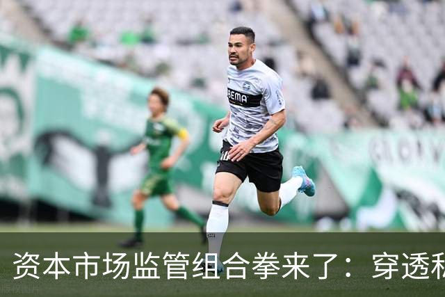 资本市场监管组合拳来了：穿透私募、约束AI、严打减持、畅通赔付